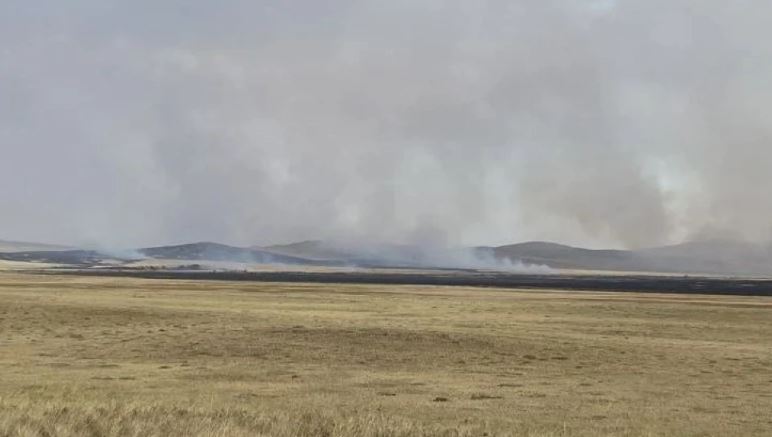 В Павлодарской области горел сухостой