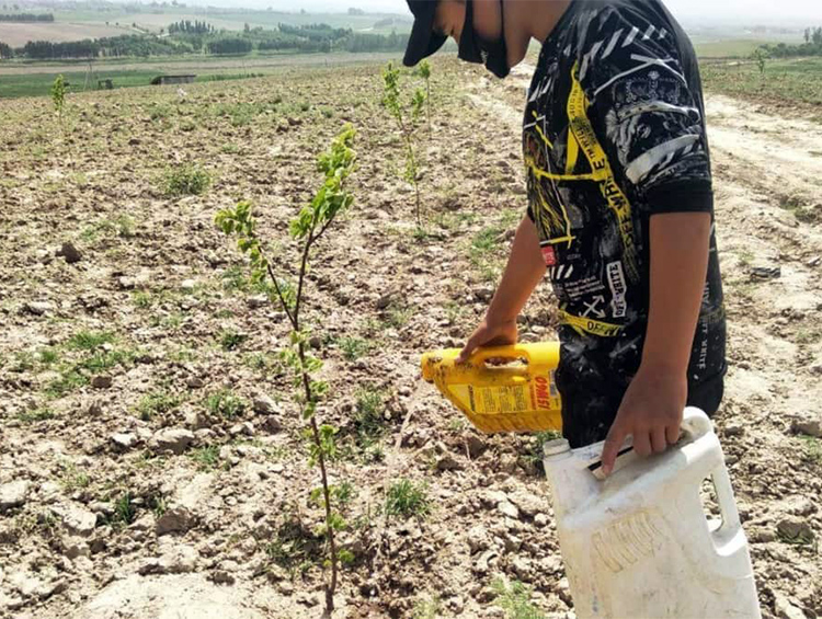 В РК фермеры пожаловались на дефицит поливной воды