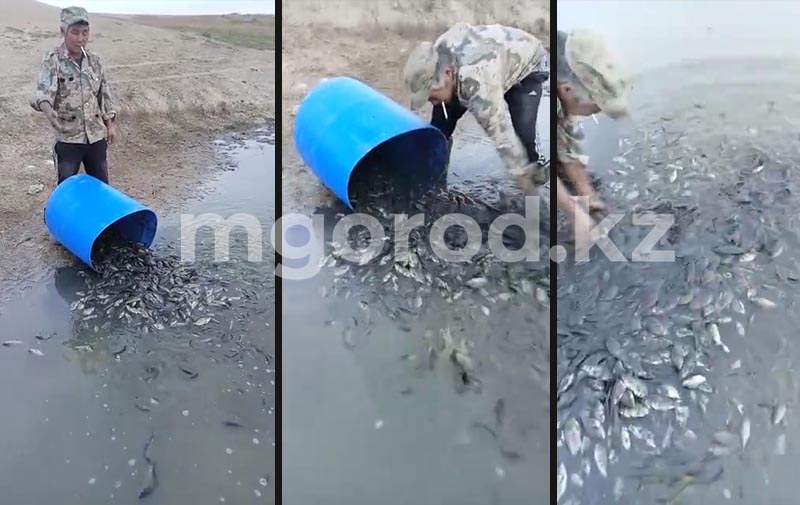 Сельчане вручную собирали и переносили рыбу из высыхающего водохранилища в ЗКО