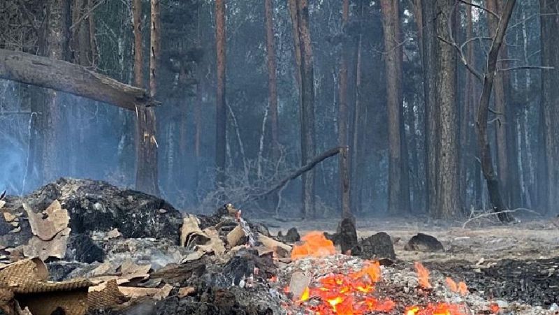 Пожары по Костанайской области: министерство экологии подсчитало сумму ущерба