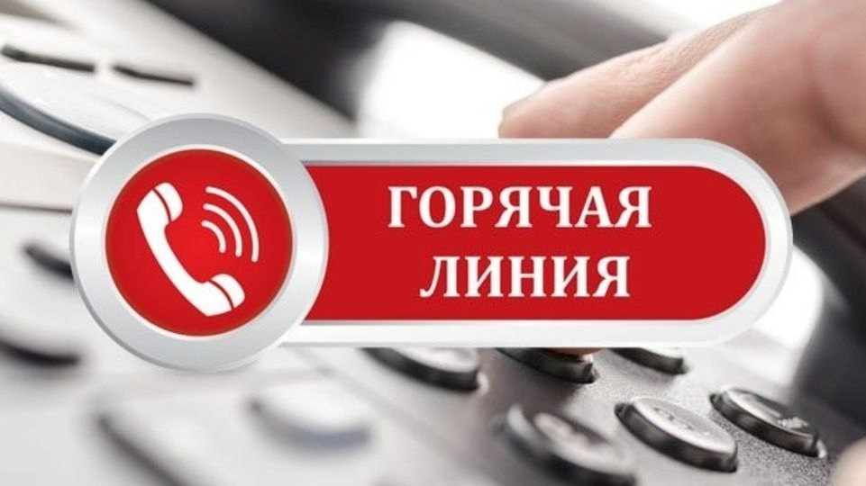 В Казахстане запустили горячую линию по защите животных