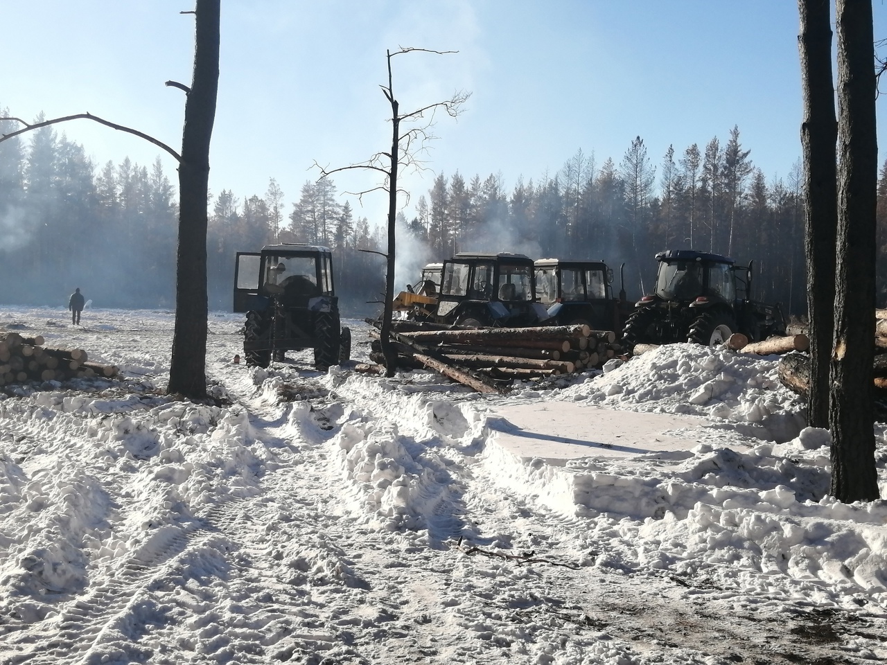 Освоение сгоревшего леса в Костанайской области принесло в бюджет более 670 млн тенге