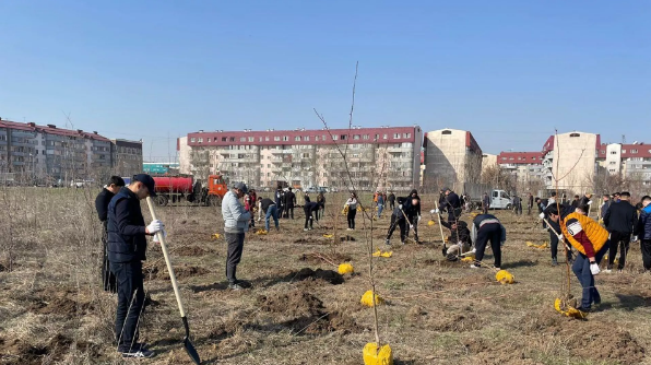 В Алматы этой весной высадят более десяти тысяч саженцев