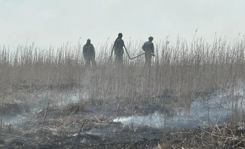 Камыш потушили в Атырауской области