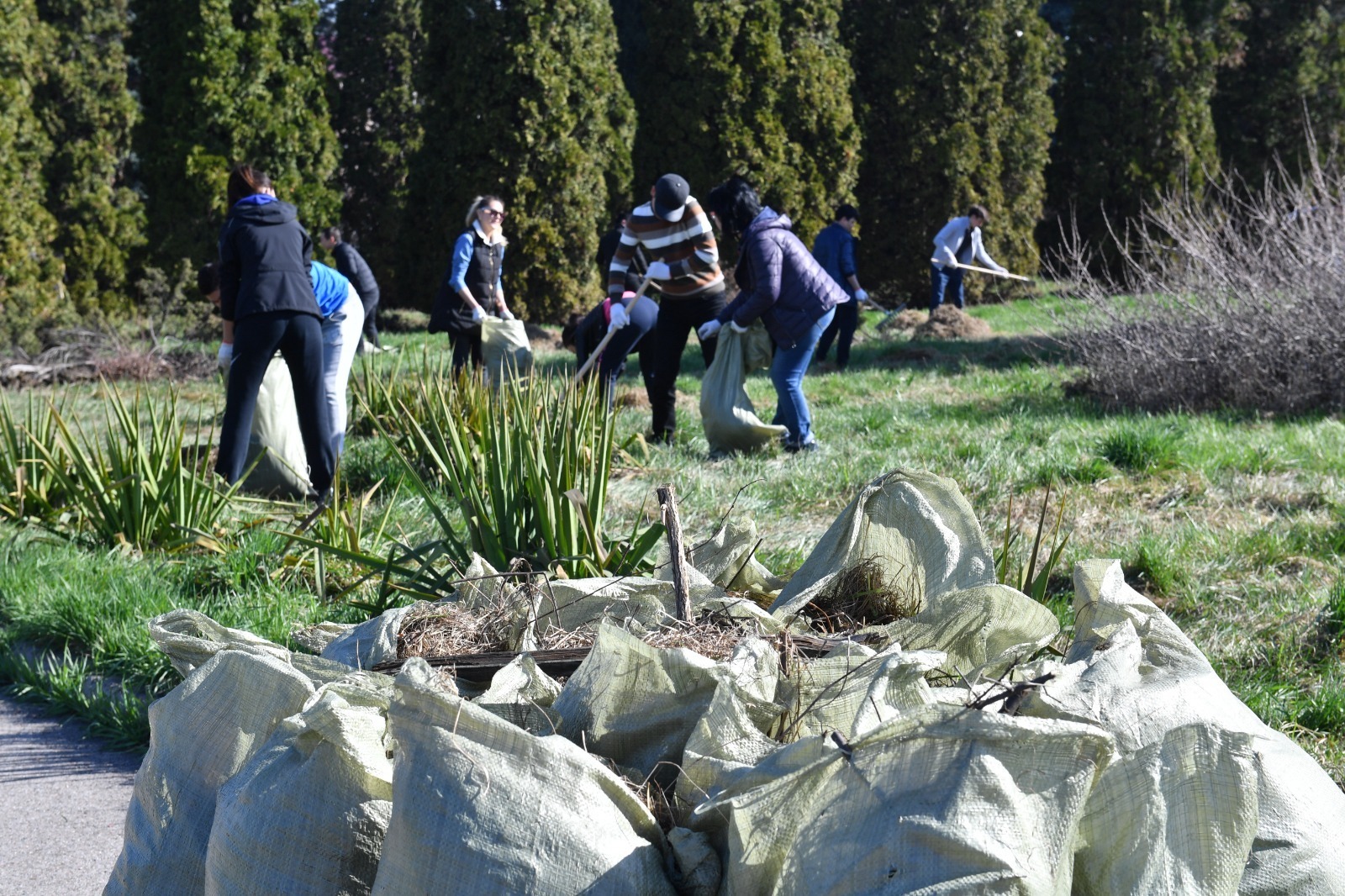 В Алматы состоится общегородской субботник AlmatyClean&Green