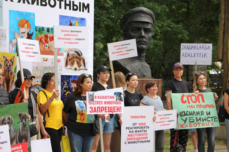 Собаки не умеют говорить. Зато люди умеют митинговать