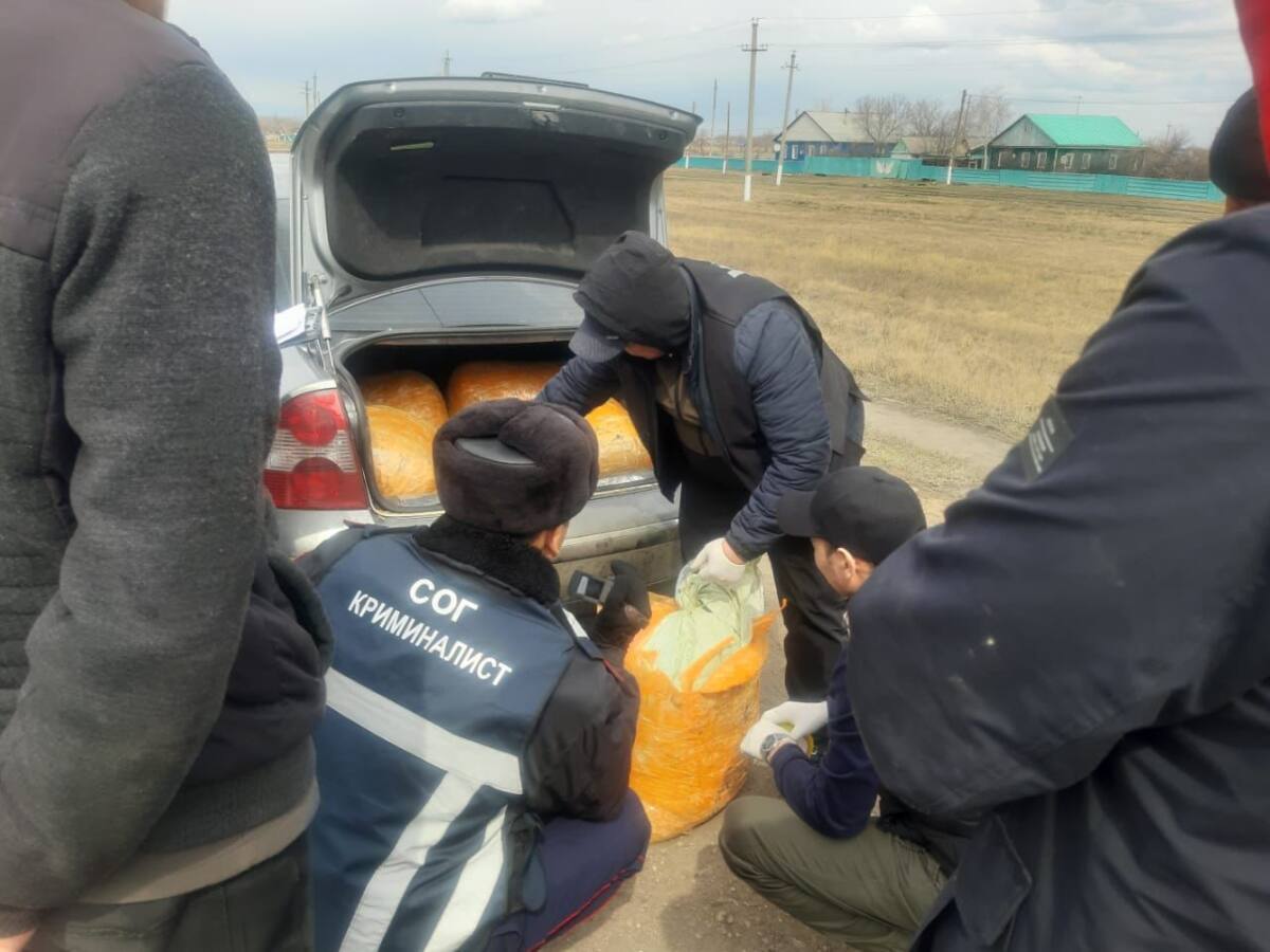 В СКО полицейские изъяли самую крупную партию наркотиков