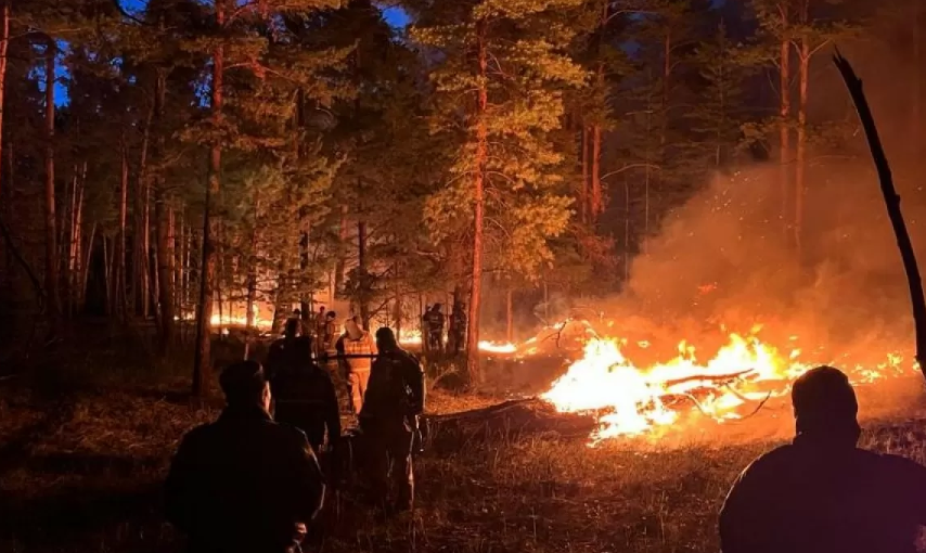 Вертолет и поезд привлекли тушить лесной пожар в Абайской области