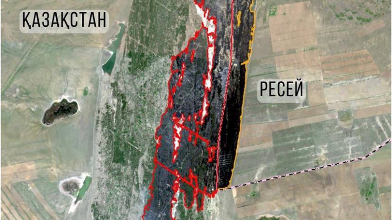 Появились кадры крупного лесного пожара в Абайской области