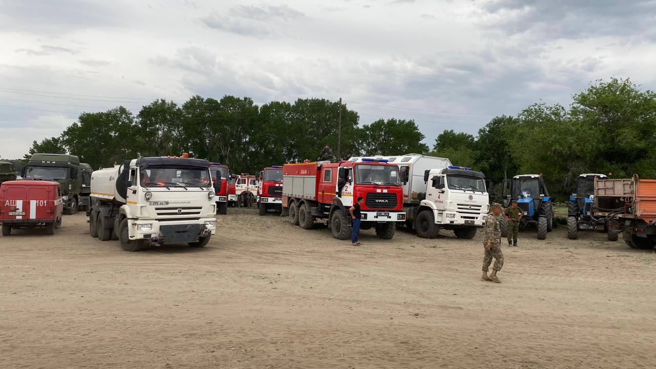 Режим ЧС ввели в Семее из-за лесного пожара