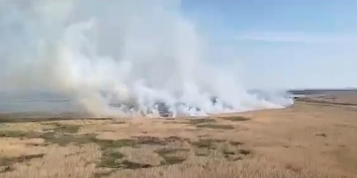 В Иле-Балхашском резервате уже больше недели тушат пожар