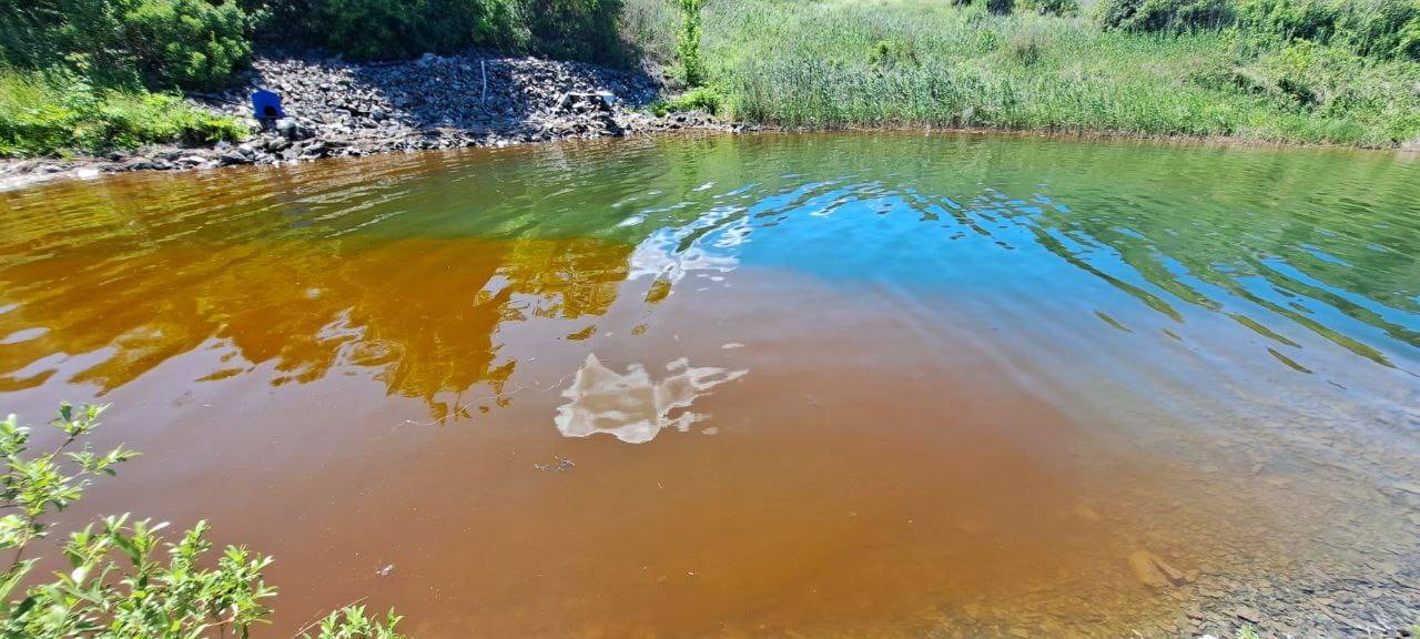 Жители ВКО обеспокоены необычным цветом воды в Иртыше