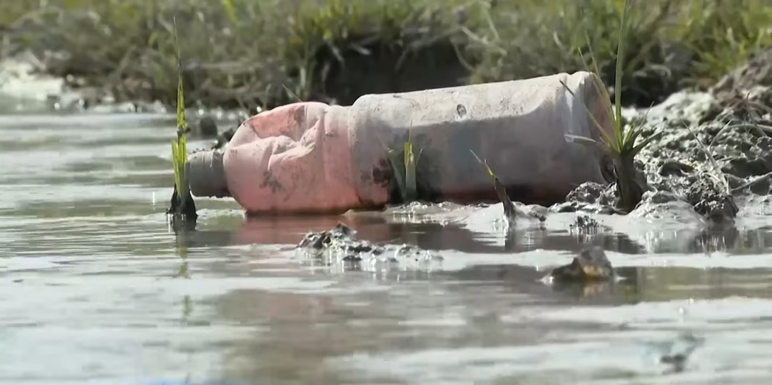 Бани загрязняют сточной водой пастбища и пахотные земли в Туркестанской области