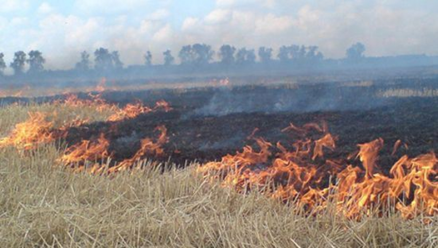 В Улытауской области потушили крупный степной пожар