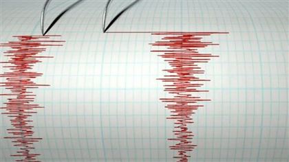 Землетрясение зафиксировали в 426 км от Алматы