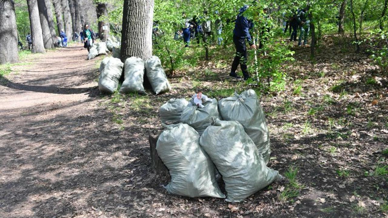 В Алматы проведут общегородской субботник