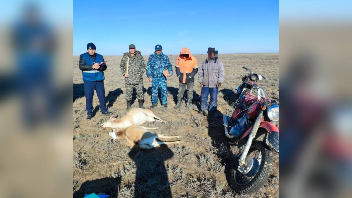 В степях Шалкарского района задержали браконьеров 