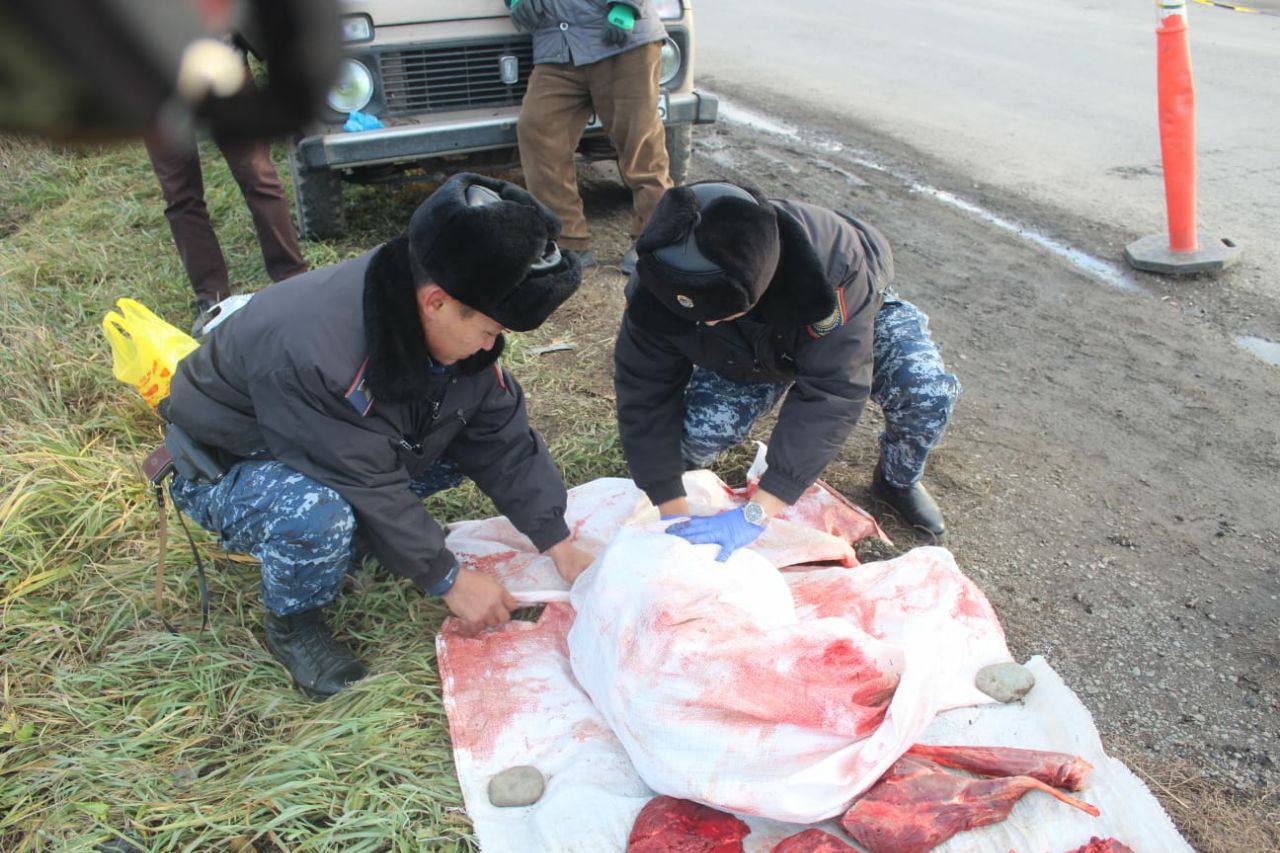 В ВКО задержали сельчанина за отстрел косуль 