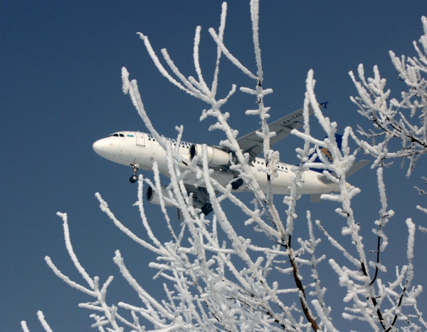 В 2023 году "Air Astana" 266 раз меняла воздушные суда на самолёты бюджетной авиакомпании "Fly Arystan"