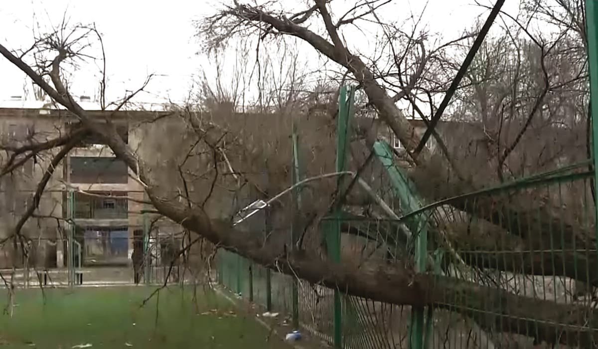 В Таразе из-за урагана пострадали 9 человек