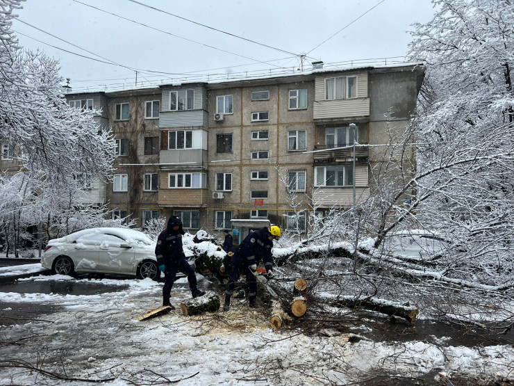 В Алматы на автомобиль упало дерево