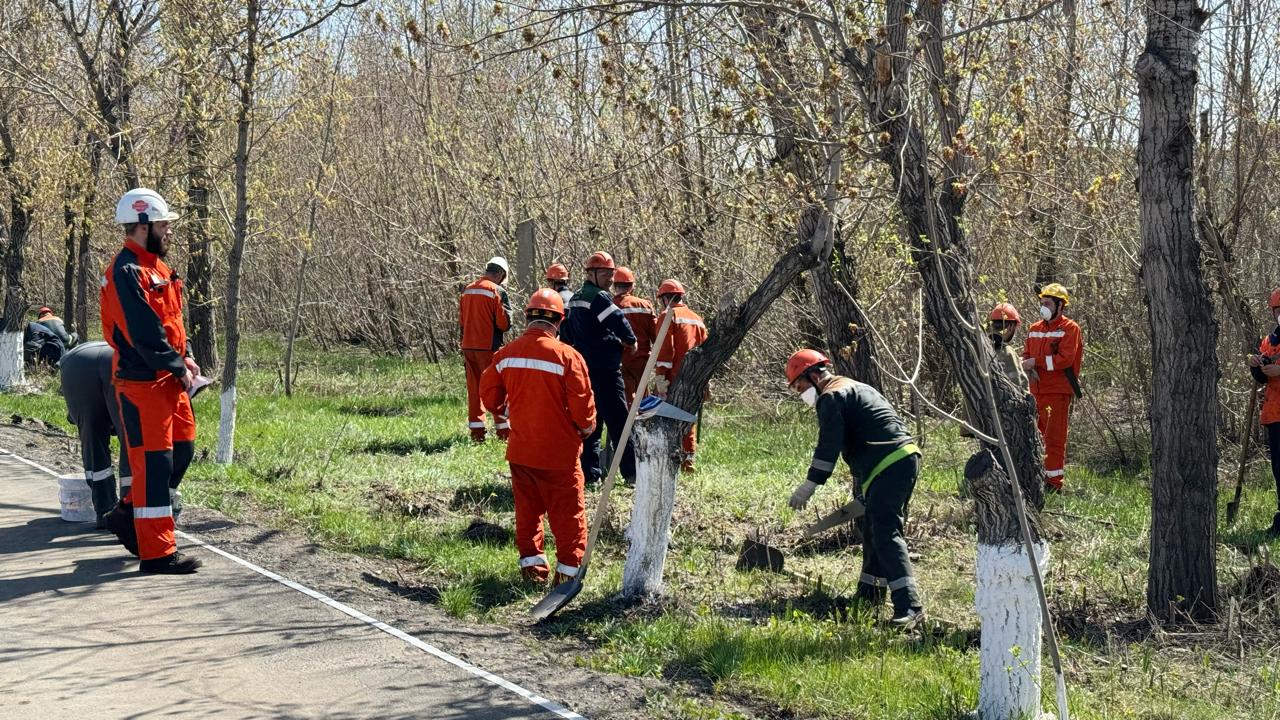 Металлурги и студенты вышли на субботник  в Темиртау