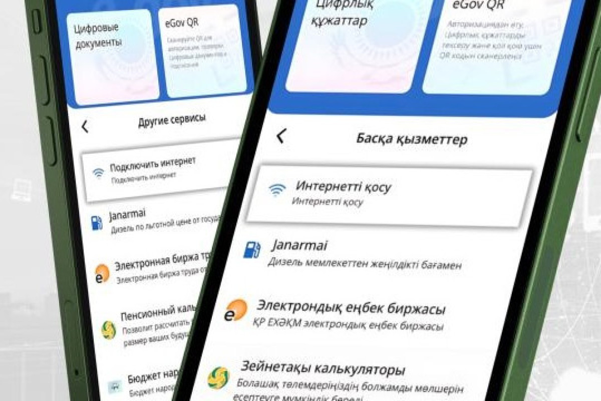 В Казахстане с помощью eGov стало возможным подключить интернет