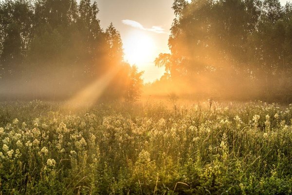 Прогноз погоды в мегаполисах опубликовали синоптики  