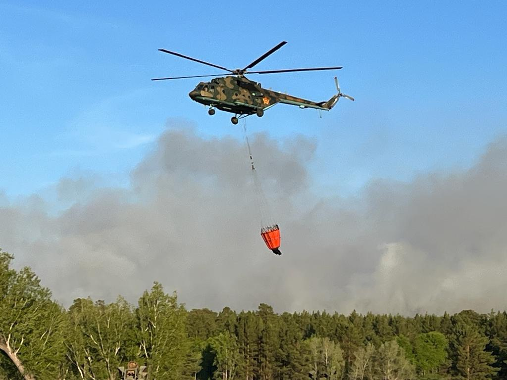 Пожар чуть не случился в Иле-Балхашском природном резервате