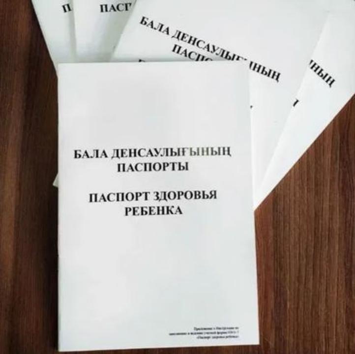 В Казахстане Паспорт здоровья ребенка переведут в электронный формат