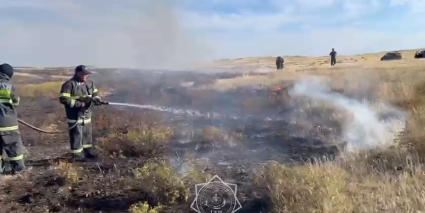 В Абайской области горел сухостой